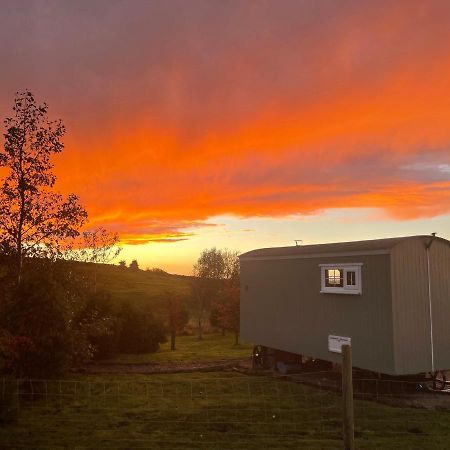 The Buteland Stop Rosie Off Grid Shepherds Hut Bellingham Eksteriør billede