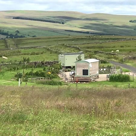 The Buteland Stop Rosie Off Grid Shepherds Hut Bellingham Eksteriør billede