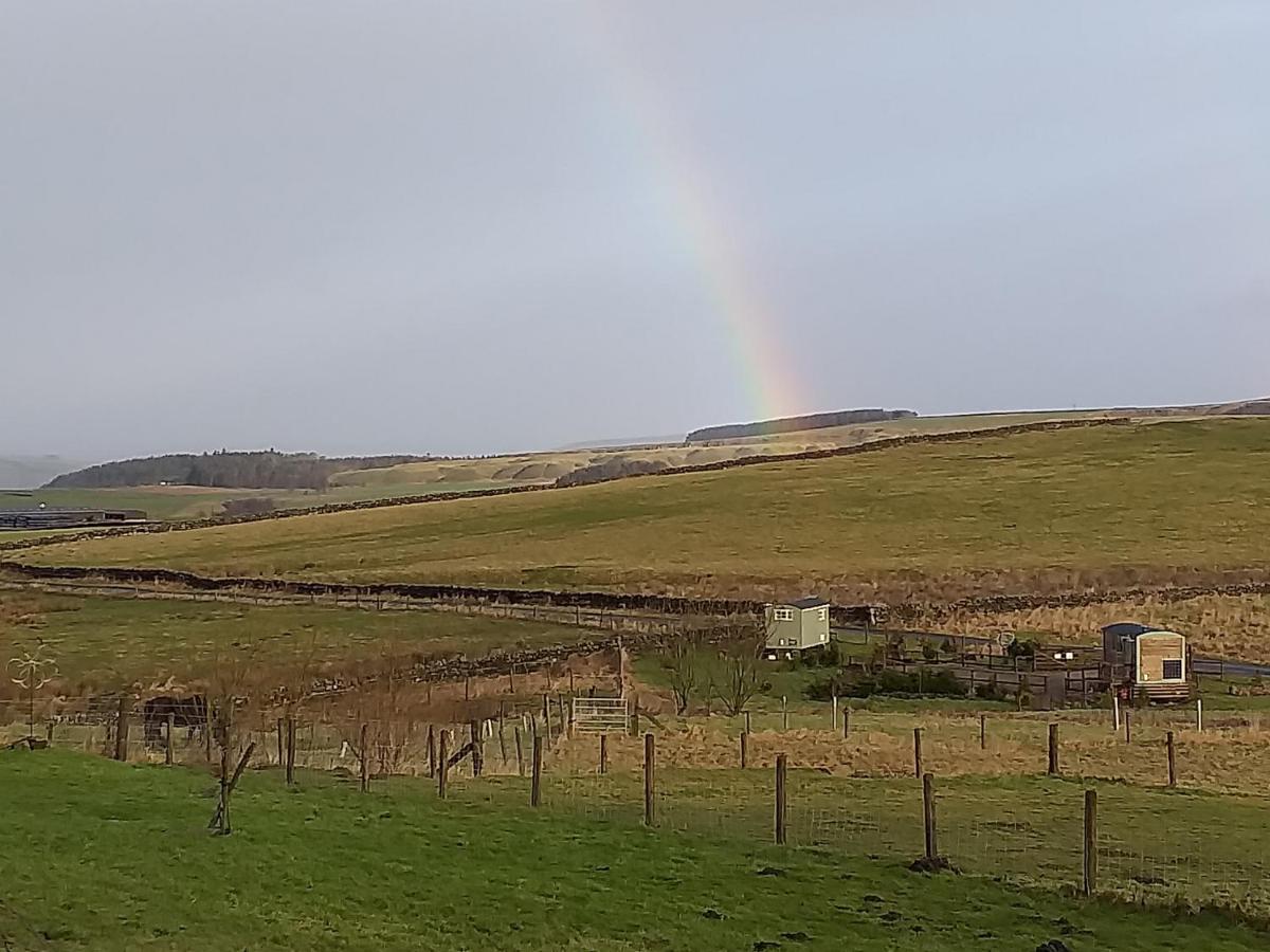 The Buteland Stop Rosie Off Grid Shepherds Hut Bellingham Eksteriør billede