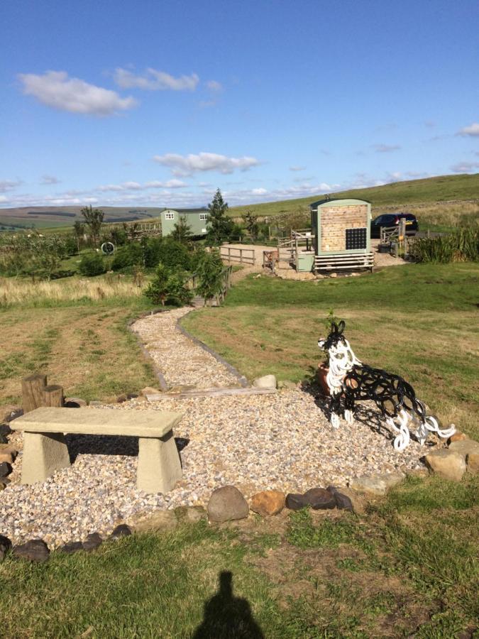 The Buteland Stop Rosie Off Grid Shepherds Hut Bellingham Eksteriør billede