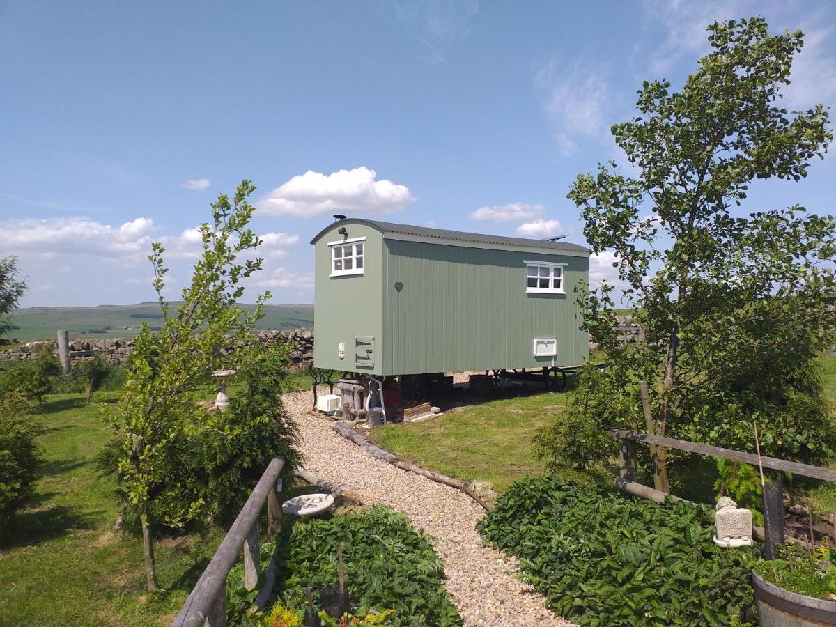The Buteland Stop Rosie Off Grid Shepherds Hut Bellingham Eksteriør billede