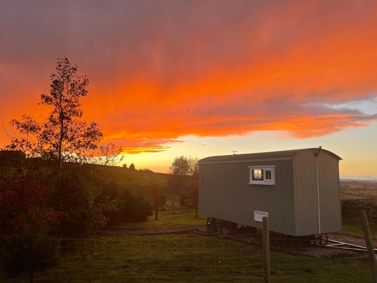 The Buteland Stop Rosie Off Grid Shepherds Hut Bellingham Eksteriør billede