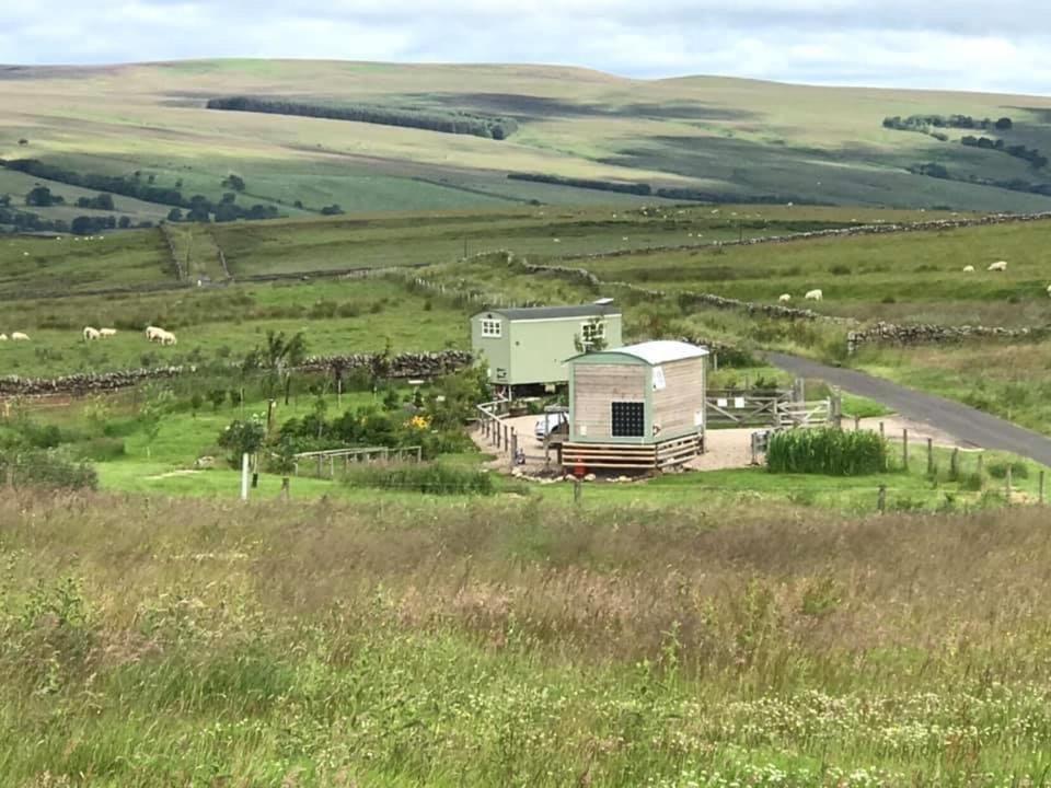 The Buteland Stop Rosie Off Grid Shepherds Hut Bellingham Eksteriør billede
