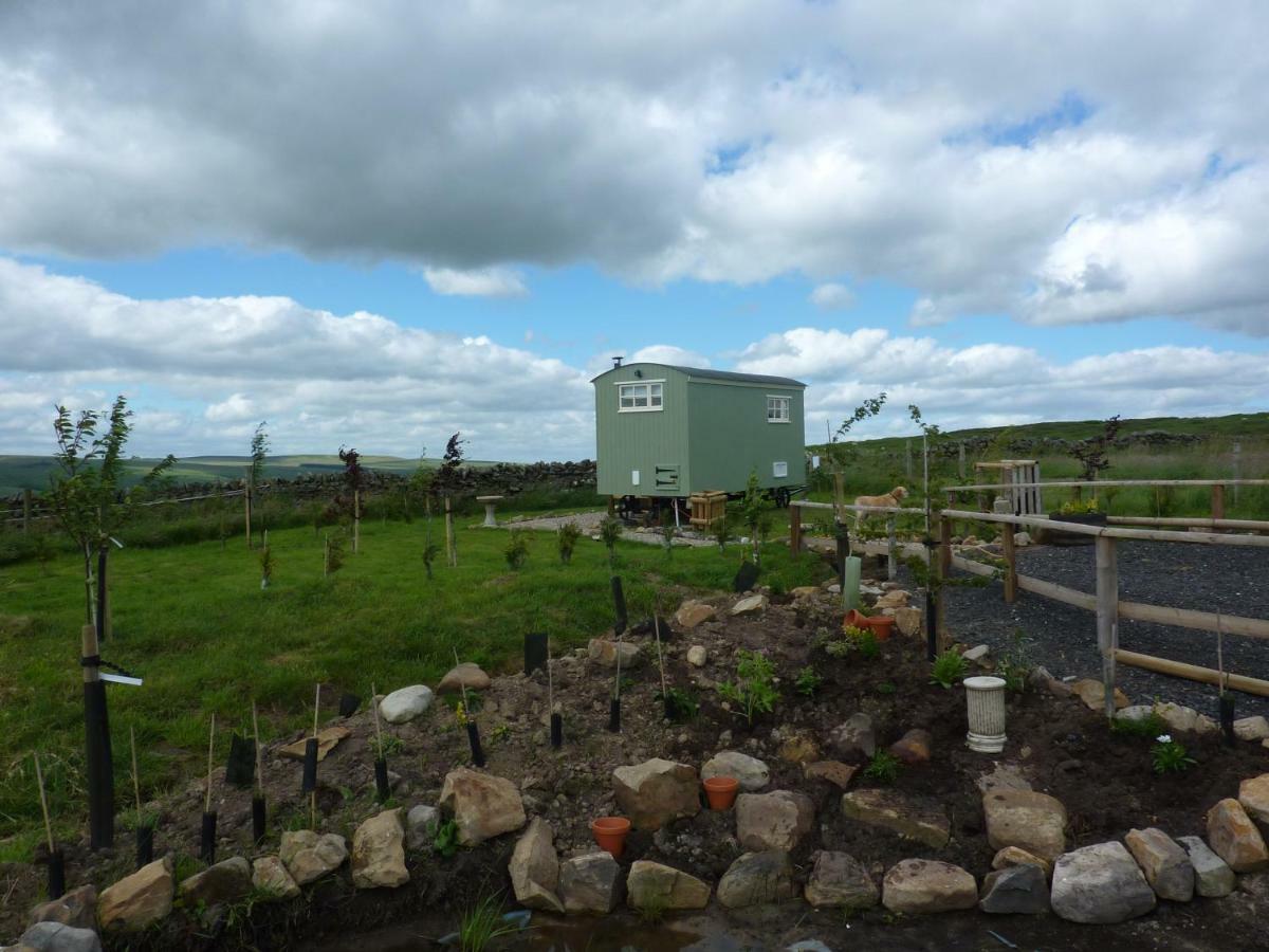 The Buteland Stop Rosie Off Grid Shepherds Hut Bellingham Eksteriør billede