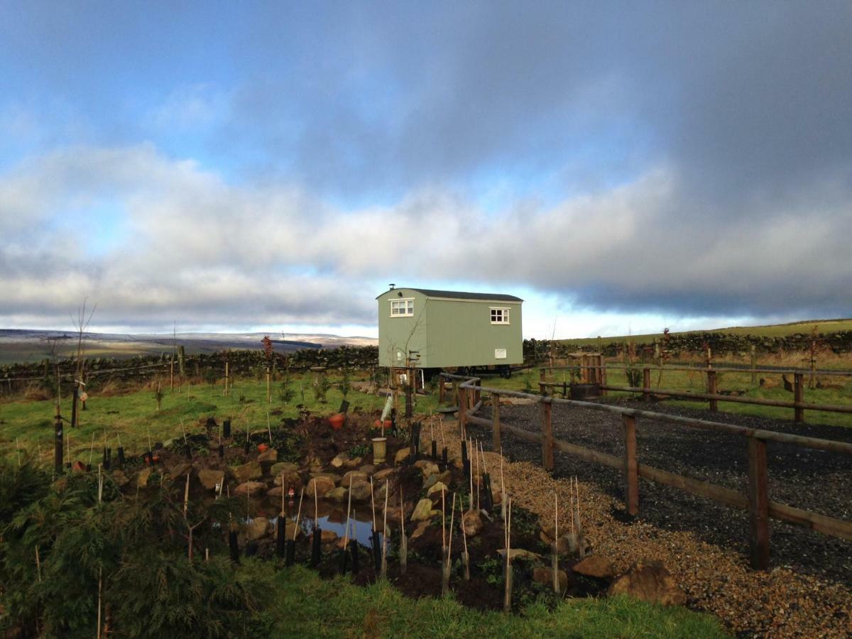 The Buteland Stop Rosie Off Grid Shepherds Hut Bellingham Eksteriør billede