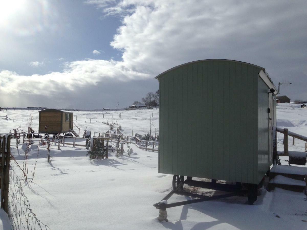 The Buteland Stop Rosie Off Grid Shepherds Hut Bellingham Eksteriør billede
