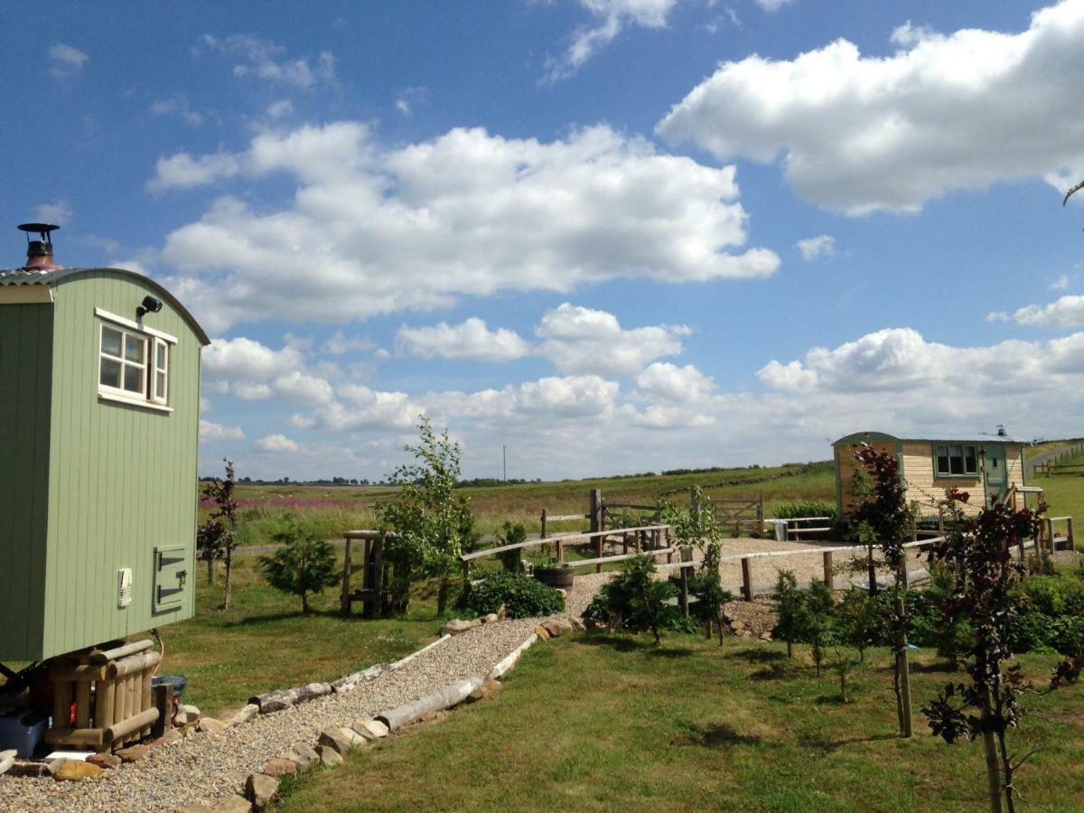 The Buteland Stop Rosie Off Grid Shepherds Hut Bellingham Eksteriør billede